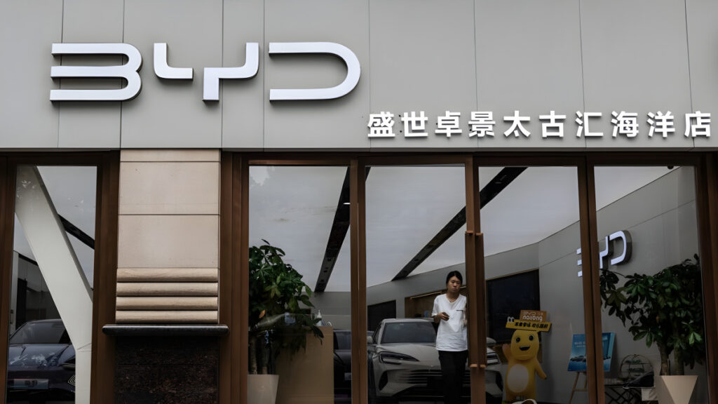 China EV Industry Crisis (3)