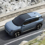 Domestic EV Market Growth
