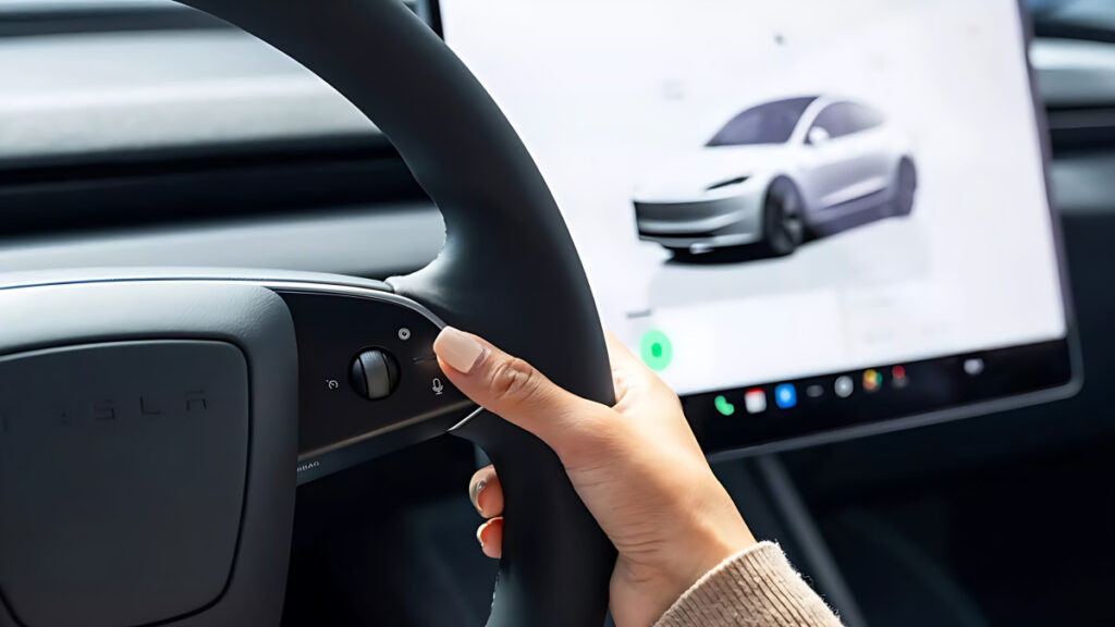 Model 3 Model Y Standard Unveiled (5)