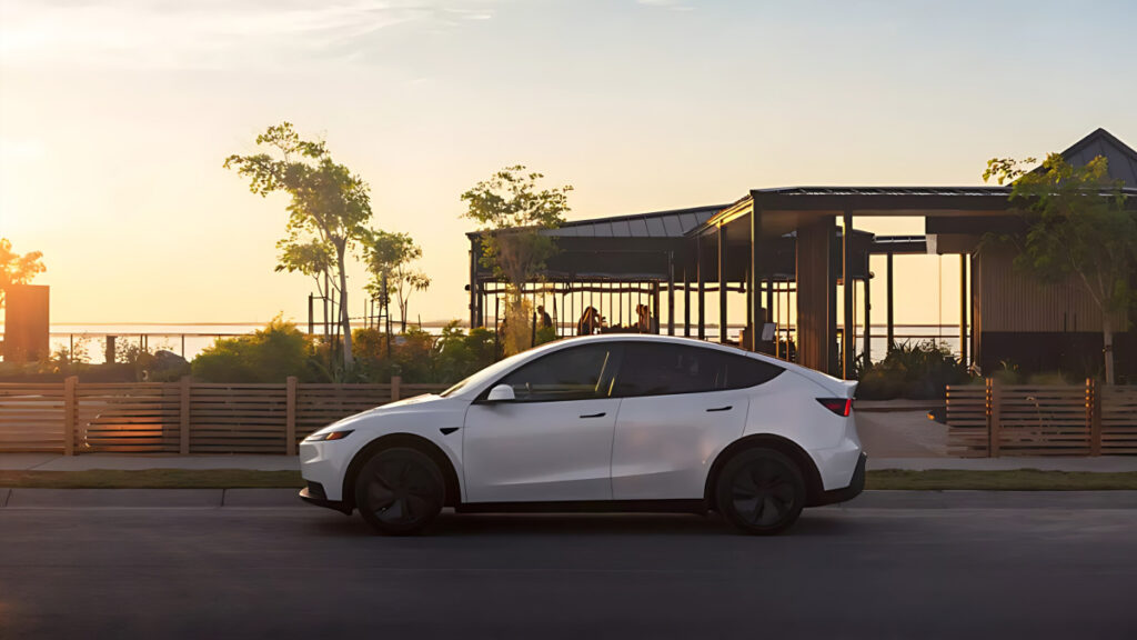 Model 3 Model Y Standard Unveiled (5)