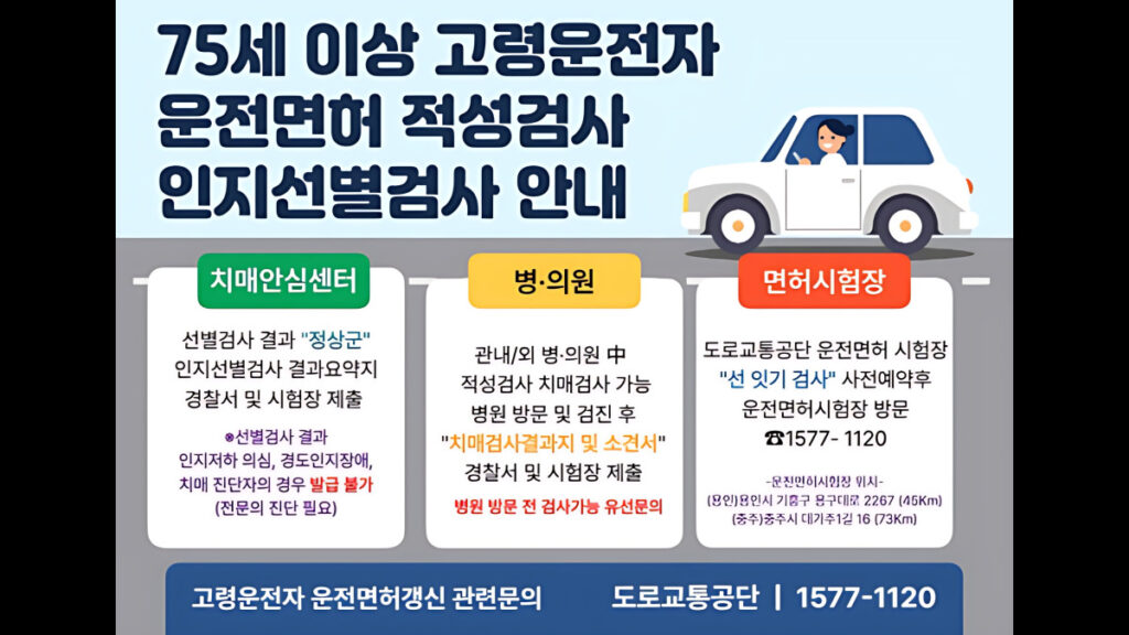 Aged driver cognitive ability (4)