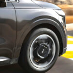 Carnival Hybrid Owner Evaluation