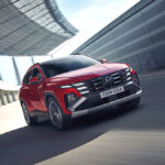 Domestic car sales fall