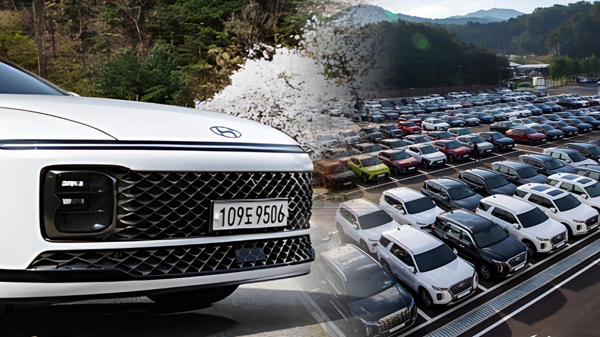 Grandeur Used Car Market Plunges