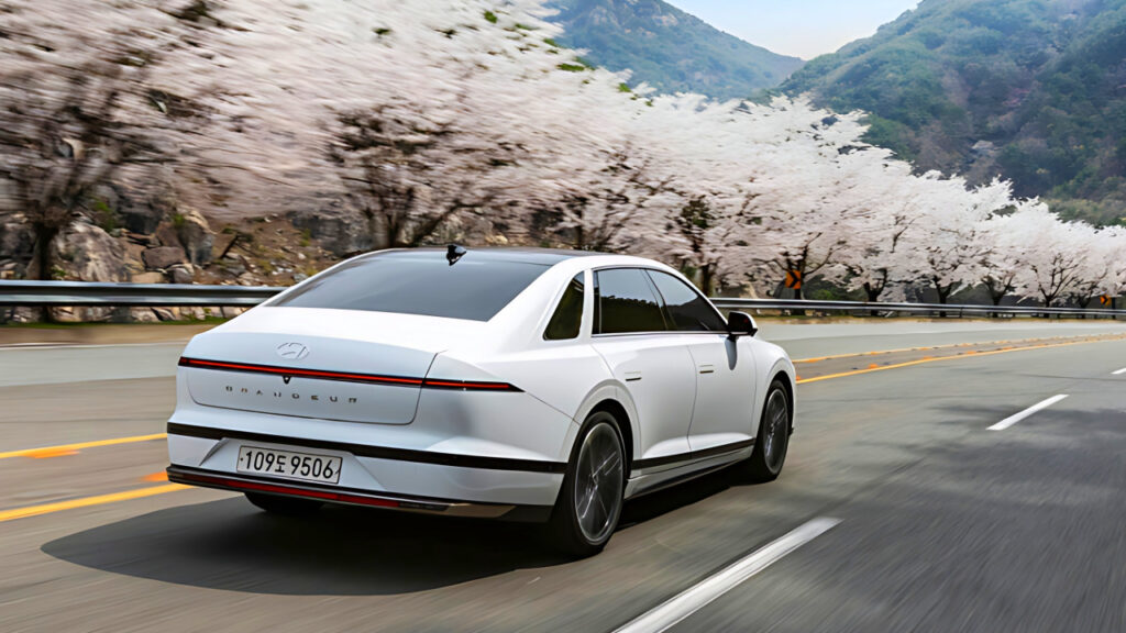 Hyundai Grandeur Turn Indicator (4)