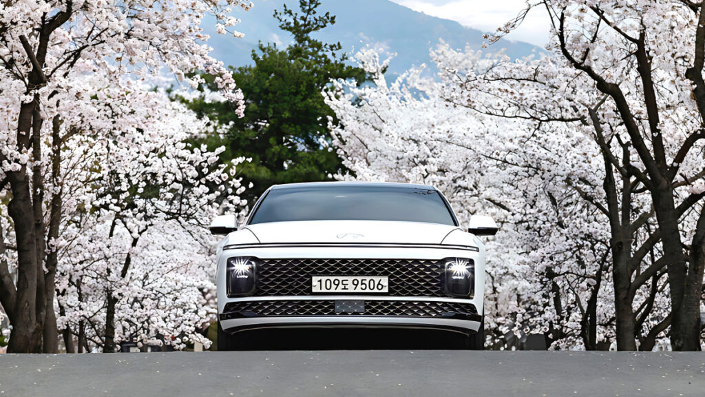 hyundai-grandeur-hybrid-owner-satisfaction-89-points (2)