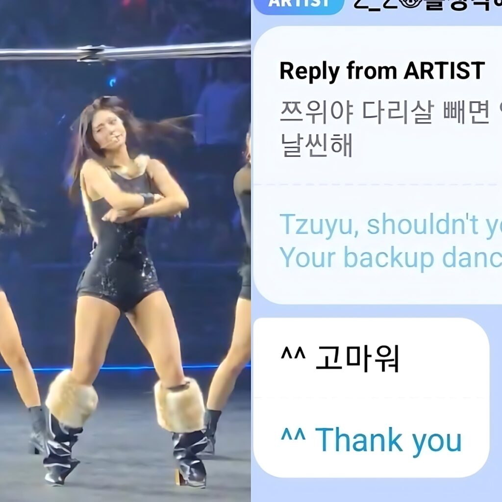 tzuyu-body-shaming-controversy-kpop-beauty-standards (3)