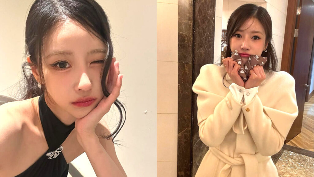 A picture of Lee Mi-joo controversy (1)