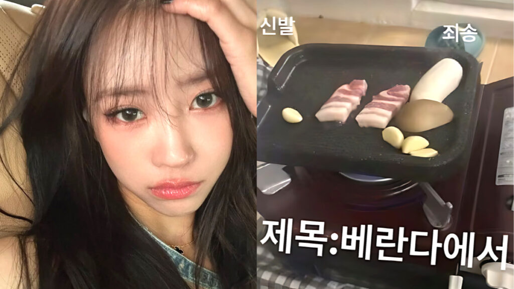 A picture of Lee Mi-joo controversy (2)