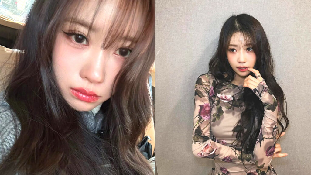 A picture of Lee Mi-joo controversy (3)