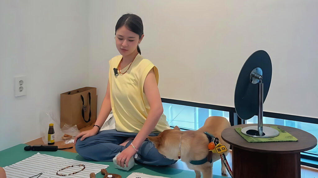 Controversy over school violence Shim Eun-woo recent situation (4)