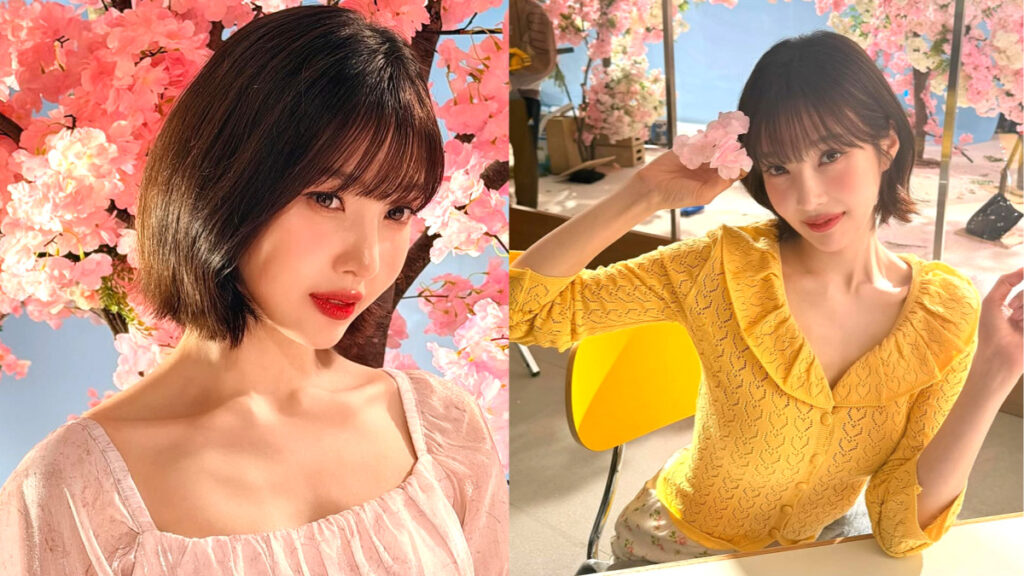 Red Velvet Joy latest update (1)