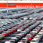 tesla-korea-subsidy-application-staff-shortage-vehicle-delivery-crisis (1)