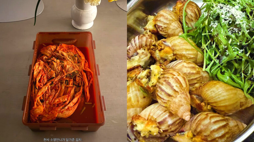 T-ara Hyomin Newlywed House House (3)