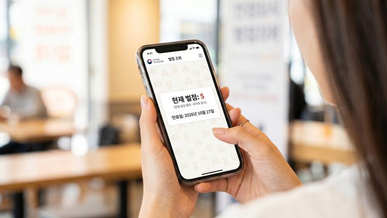 driver-penalty-points-lookup-expiry (1)